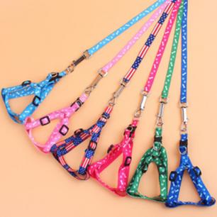 Cat Leashes with Matching Harnesses