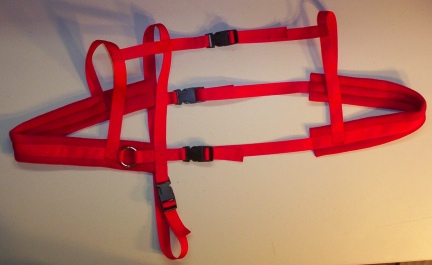 Red Red Dwarf Goat Harness