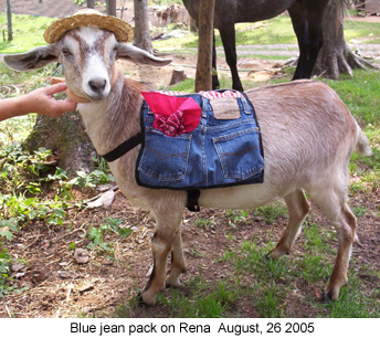 renabluejeanpack 2005-08-26.jpg